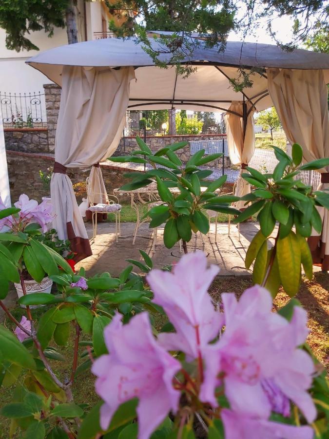 Villa Elvira Ambra Екстериор снимка