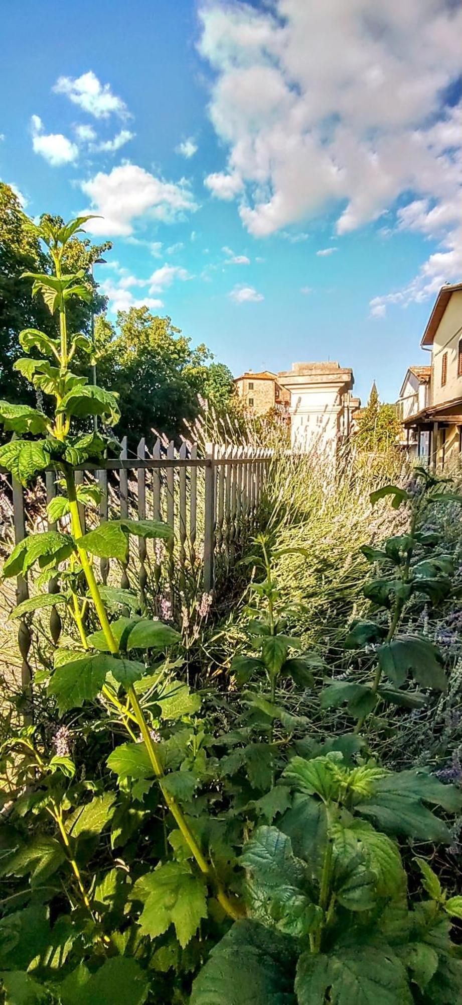 Villa Elvira Ambra Екстериор снимка